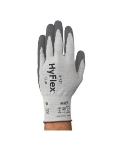 ASL11731100 image(0) - GLOVE HYFLEX 11-731 LIGH DUTY CUT RESIST SZ 10 12PK