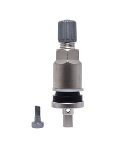 DILVS-240MC-10 image(0) - SILVER CLAMP-IN 0.453 TPMS STEM (10 PACK)