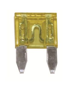 25 Amp Clear Mini Fuse