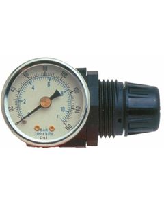 JLMRG4049 image(0) - R262 MINI REGULATOR GAUGE